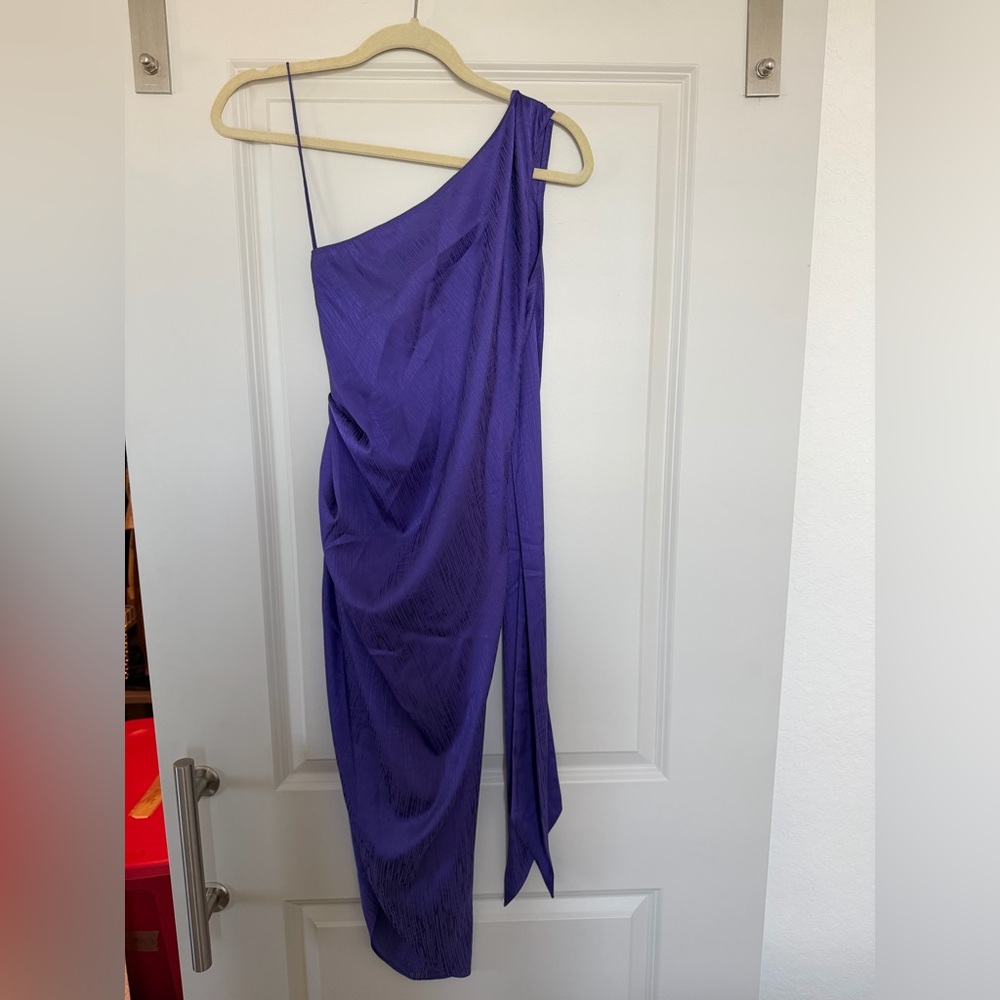 Ronny Kobo Collection Purple Dress!